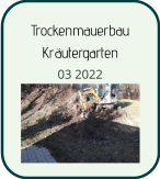 Trockenmauerbau Kräutergarten 03 2022